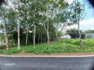 Đất nền siêu rẻ tại xã long hòa, 2,4 tỷ, 4819m2