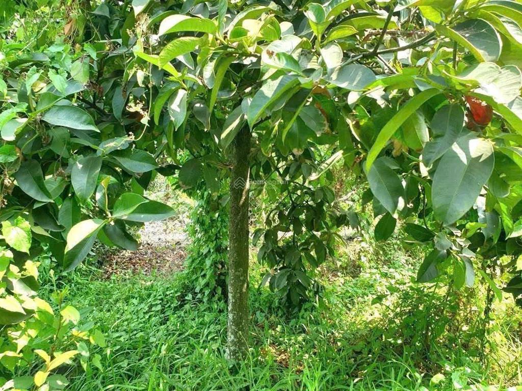 Bán nhà mặt phố an sơn 2, 11 tỷ, 1190m2, chính chủ, giá cực chất