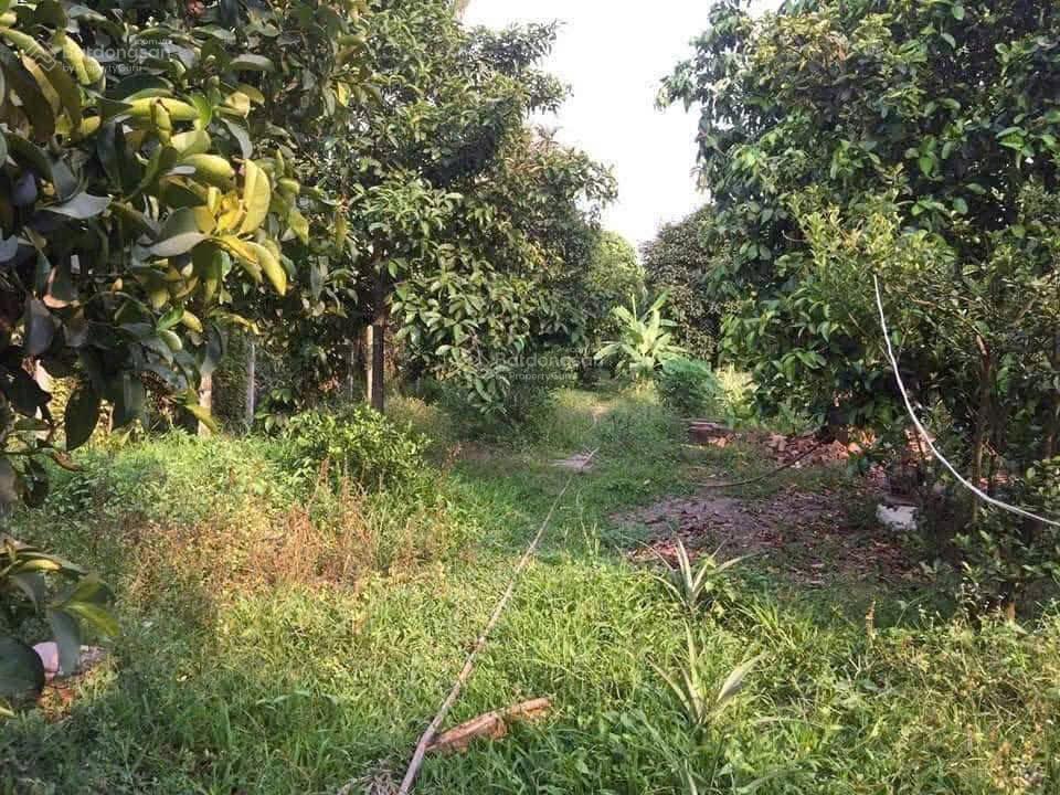 Bán nhà mặt phố an sơn 2, 11 tỷ, 1190m2, chính chủ, giá cực chất