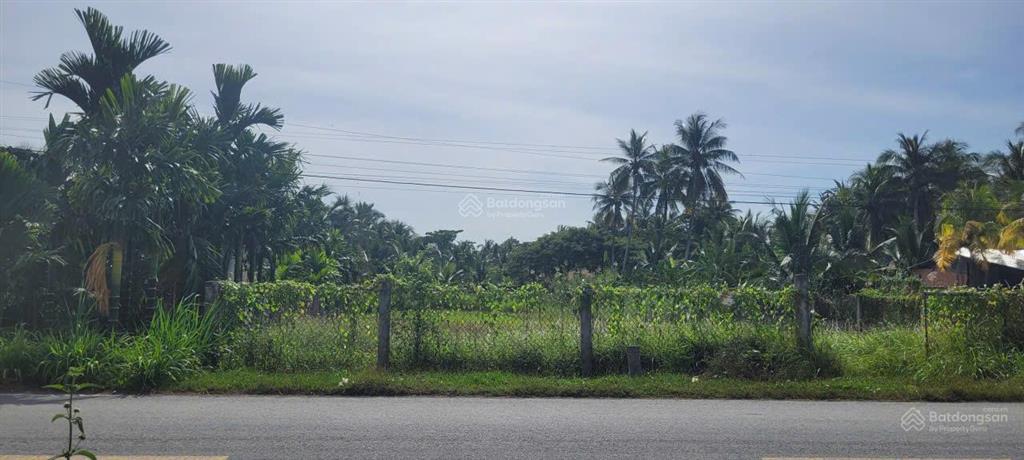 Bán đất 1500m2 tại quốc lộ 60, mỏ cày nam, bến tre, giá 4,5 tỷ