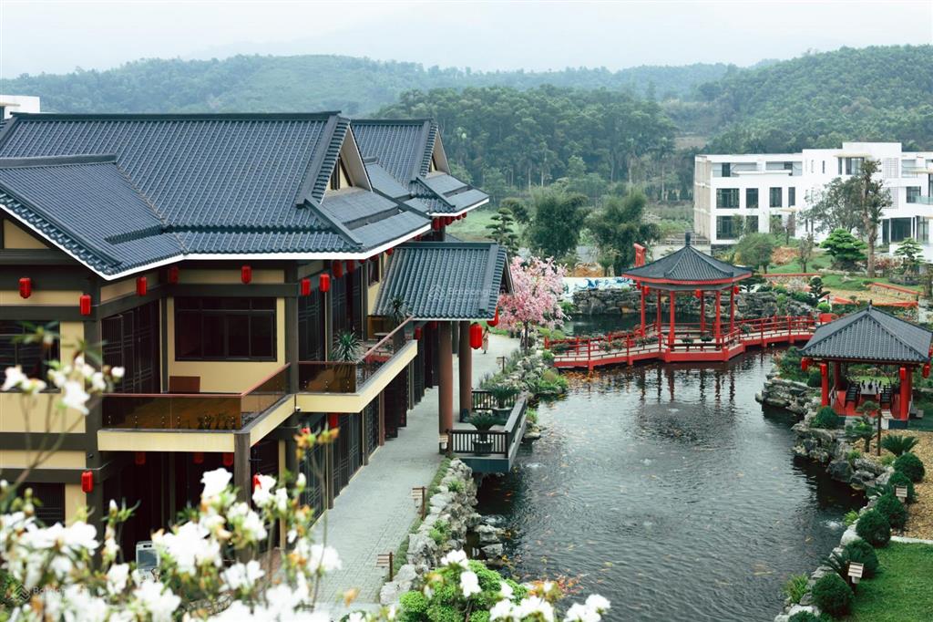 Bán biệt thư căn góc siêu vip view hồ thiên nga dự án legacy hill giá ngoại giao