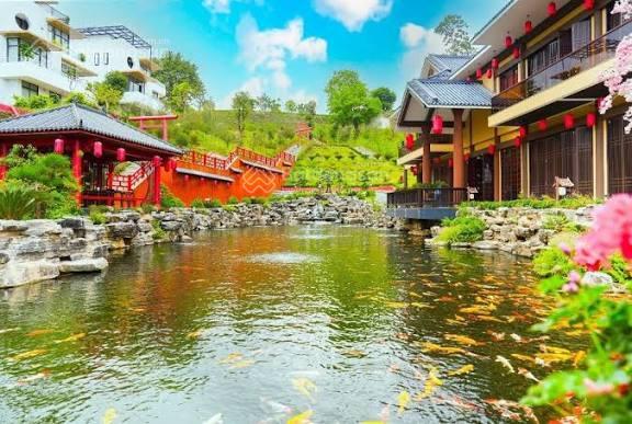 Bán biệt thư căn góc siêu vip view hồ thiên nga dự án legacy hill giá ngoại giao