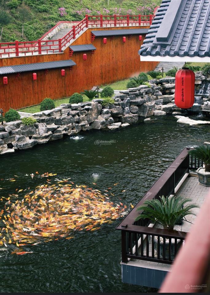 Bán biệt thư căn góc siêu vip view hồ thiên nga dự án legacy hill giá ngoại giao