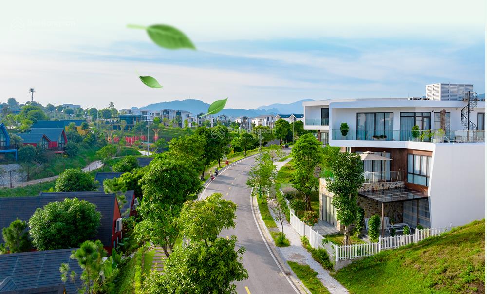 Bán biệt thư căn góc siêu vip view hồ thiên nga dự án legacy hill giá ngoại giao