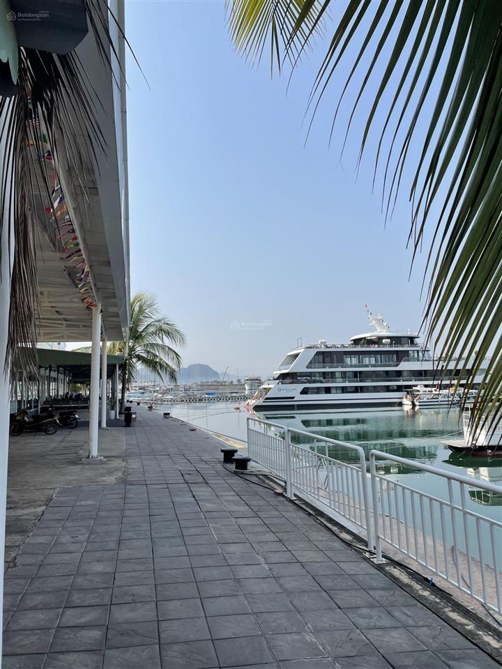 Quỹ căn cắt lỗ tuần châu xây 5 tầng diện tích 108m2 giá từ 5tỷxx đến hơn 7tỷxx mặt cảng quốc tế