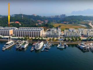 Bán cắt lỗ lk tuần châu marina, khu g, âu cảng 2, bến du thuyền, kinh doanh sầm uất giá chỉ 4.8 tỷ