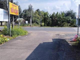 Chính chủ cần bán lô đất lớn xã định an, dầu tiếng, bình dương gốc 2 mặt tiền