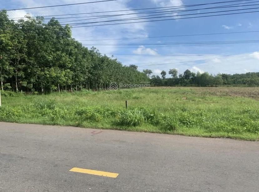 Cần bán lô đất mặt tiền đường 744 xã định an, dầu tiếng, bình dương