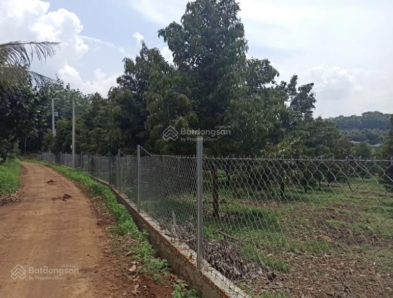 Tôi cần bán 2 lô đất diện tích 400 m2 có 200 mét thổ cư, sổ hồng riêng, ngay khu dân cư