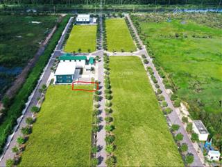Chính chủ, bán đất sài gòn center, ntk, tân mỹ, đức hòa, long an, 1,67 tỷ, 81m2, vị trí rất đẹp