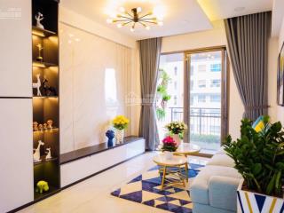 Cho thuê căn hộ saigon south phú mỹ hưng, căn hộ 2pn, 2wc, full nội thất, giá 13,5 tr/tháng