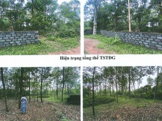 Bán đất đấu giá tại xã phú sơn, huyện ba vì, thành phố hà nội
