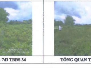 Bán đấu giá 02 bất động sản tại thắng lợi, pleiku, gia lai