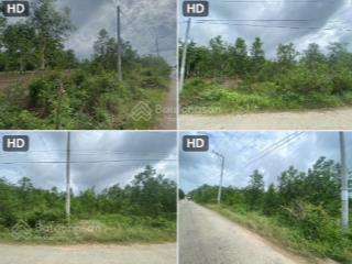 Bán đất tại xã tân minh, tỉnh lâm đồng mới