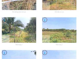 Bán đất tại tân hội, tân châu, tây ninh