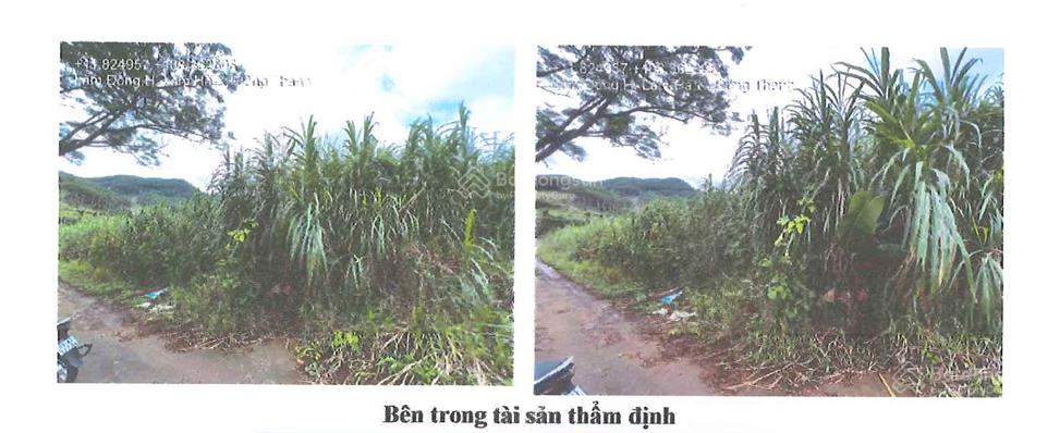 Bán đất tại xã nam ban lâm hà, tỉnh lâm đồng