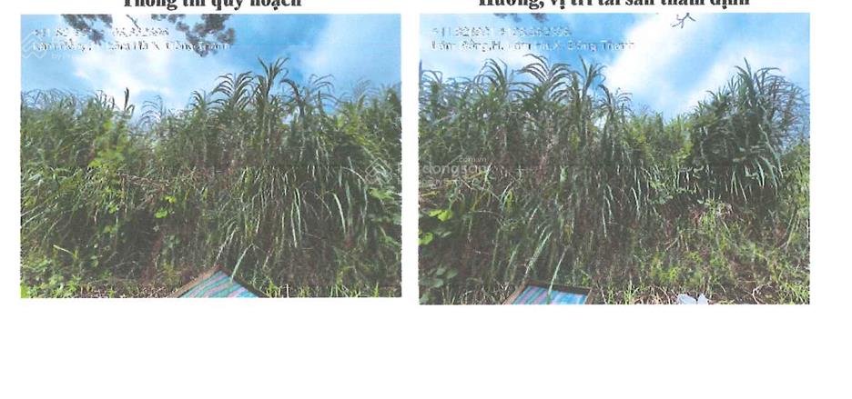 Bán đất tại xã nam ban lâm hà, tỉnh lâm đồng