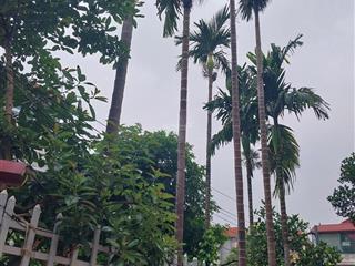 Gđ cần bán gấp nhà cấp 4, lô đất đẹp trung tâm ba đình  đội cấn, nhỉnh 7 tỷ