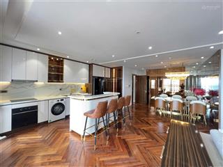 Chính chủ bán căn hộ 3pn, 3wc, 110m2 tại central plaza, 91 phạm văn hai, tân bình, 0943 245 *** hoàng