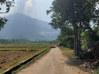 Siêu phẩm xây nhà vườn view cánh đồng, 1145m2 có 290m2 đất ở ngang rộng rãi 45m.