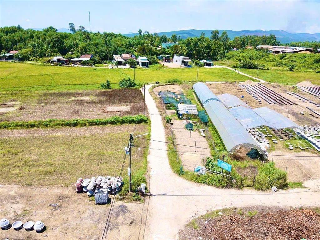 Đất trồng cây hằng năm đẹp 3 mặt kiệt, 475m2 hòa phong, giá chỉ 390 triệu