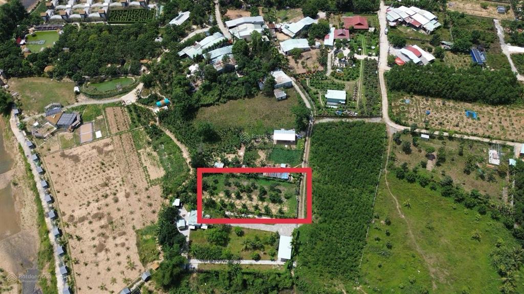 Bán khu vườn bưởi 900m2 đất trồng cây hằng năm, gần kdl bà nà hills