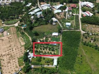 Bán khu vườn bưởi 900m2 đất trồng cây hằng năm, gần kdl bà nà hills.