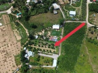 Đất trồng cây hằng năm 450m2, gần kdl bà nà hills