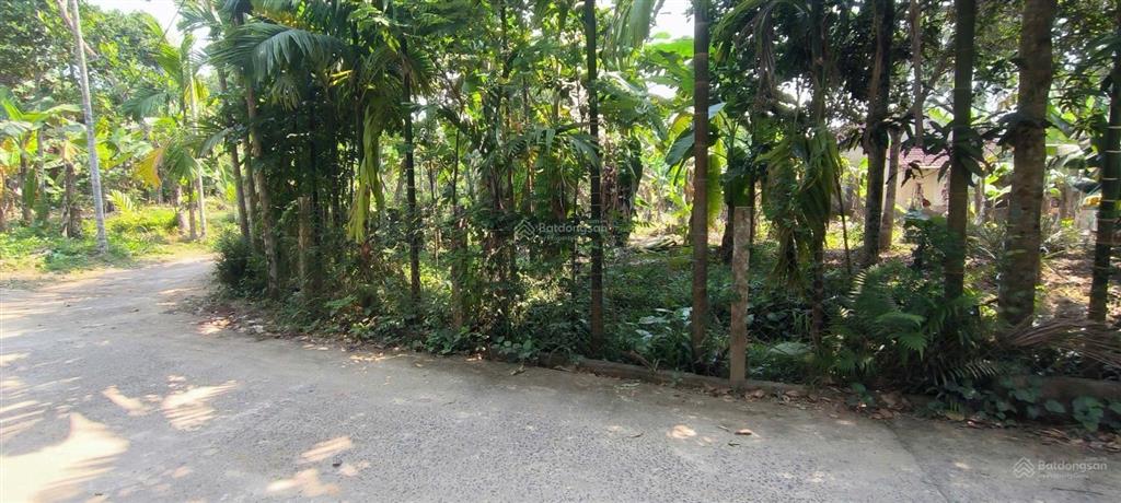 Đất xây nhà vườn 2 mặt kiệt xã hòa nhơn, 327m2 có 120m2 đất ở