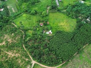 28000m2 có 400m2 đất ở suối chảy quanh đất, có nhà có vườn ở xã hòa ninh