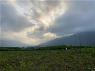 Đất làm trang trại đà nẵng, 10000m2 đất trồng cây lâu năm bằng phẳng rất đẹp xã hòa phú