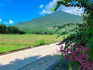 Bán đất view đồng có nhà cấp 4 củ trên hòa phú, 800m2 có 300m2 đất ở.