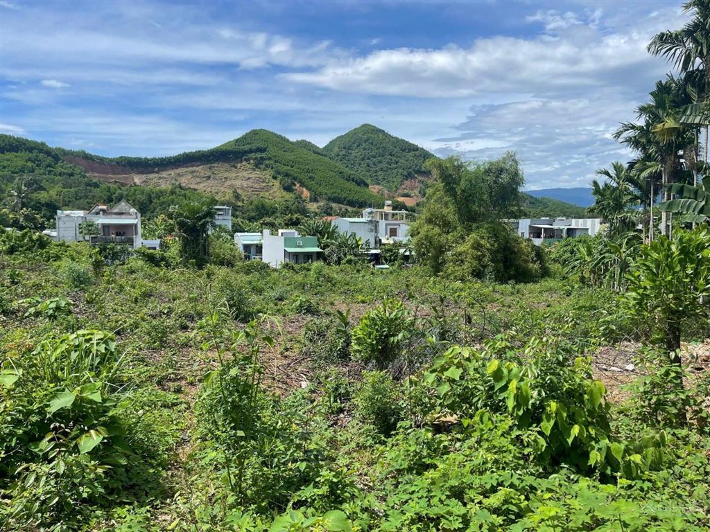 Bán lô đất trồng cây lâu năm 3850m2, gần sát đường dt 602, gần khu thương mại tự do