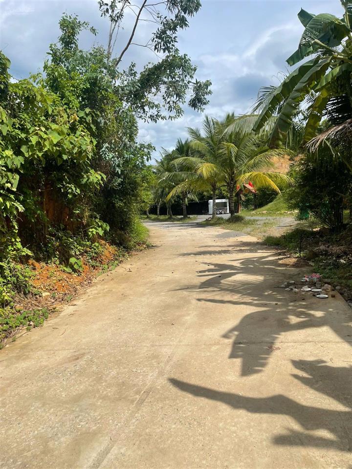 Bán lô đất trồng cây lâu năm 3850m2, gần sát đường dt 602, gần khu thương mại tự do