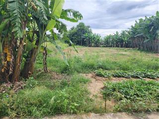 Đất hòa vang giá rẻ, 163m2 có 120m2 đất ở chỉ 750 triệu.