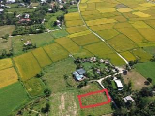 Đất đẹp xây nhà vườn, làm home stay 477m2 có 200m2 đất ở, cách sông cu đê chỉ 250m