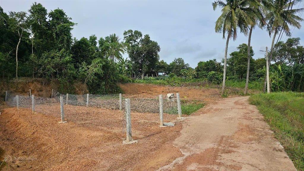 Đất thạch nham tây sau lưng chợ hòa nhơn, gần đường dh2, 98m2.