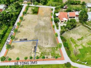 Đất xây nhà vườn mini 2 mặt kiệt view cánh đồng, 200m2 có 125m2 đất ở