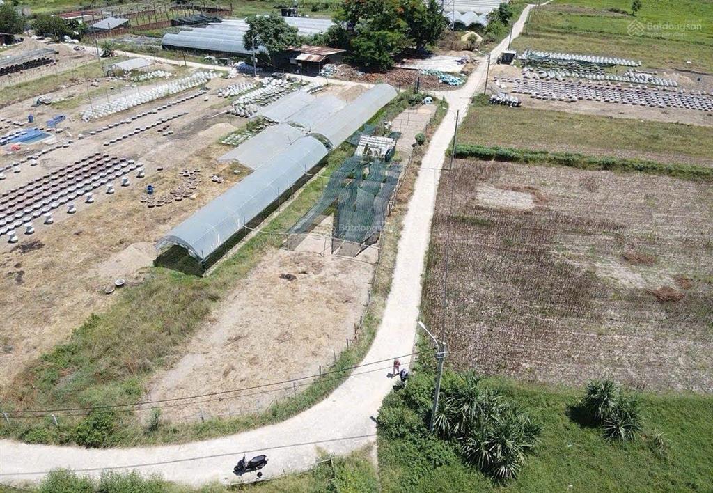 Đất cẩm toại tây, 210m2 có 100m2 đất ở ngang rộng rãi 9m