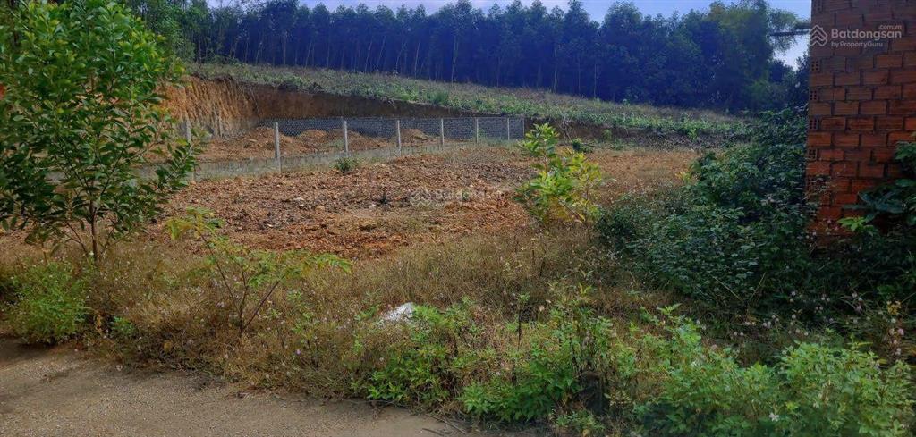 Đất xây nhà vườn 500m2 có 120m2 đất ở xã hòa vang gần hồ hóc khế.