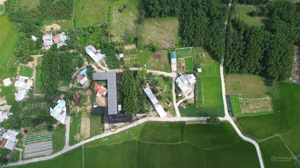 Đất xây nhà vườn hòa nhơn, 832m2 có 400m2 đất ở gần đường dh2