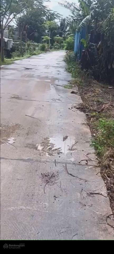 Bán đất đẹp 1.000m2 đường lò heo, bến lức