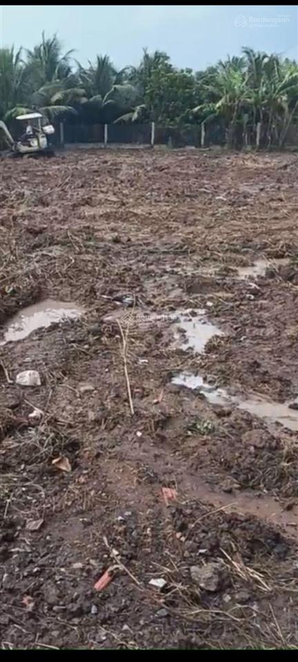 Bán đất đẹp 1.000m2 đường lò heo, bến lức