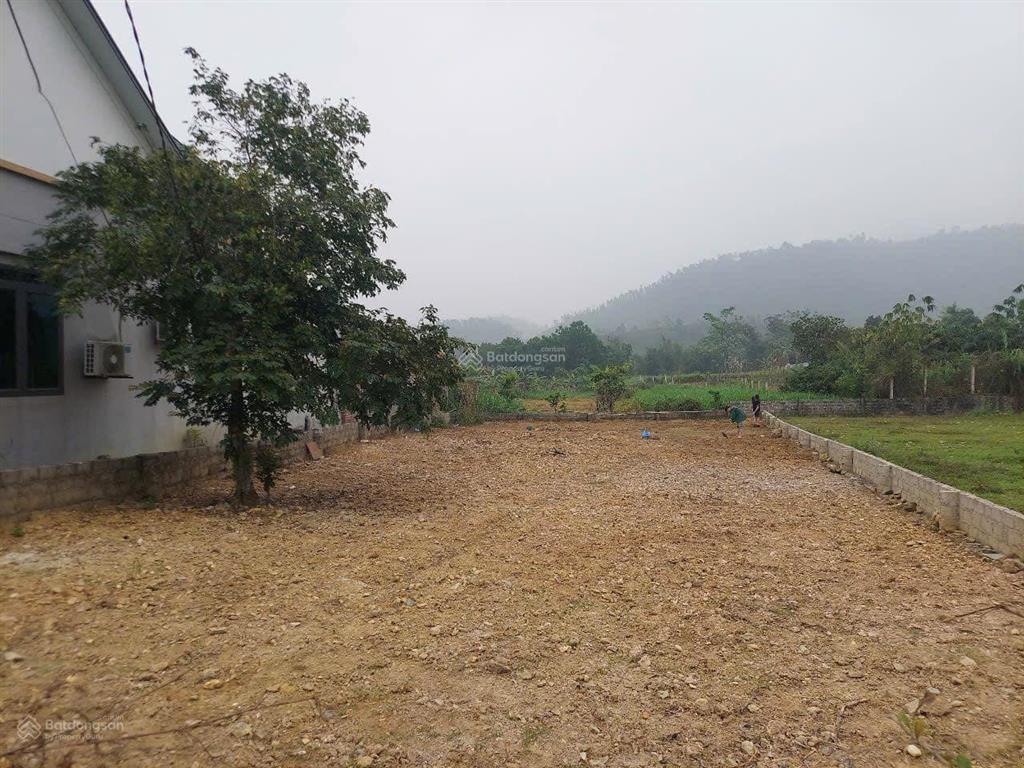 Rẻ lại còn đẹp hơn 2 tỷ 462m2 làm vườn rau nhỏ xinh chăn vài con gà và cái nhà nhỏ chill chill