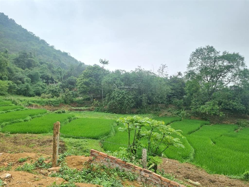 View đỉnh cao ruộng bậc thang tây bắc cách hn 40km 8 tỷ, 989m2 400m2 thổ cư,  0974 715 ***