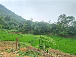 View đỉnh cao ruộng bậc thang tây bắc cách hn 40km 4,x tỷ, gần 989m2 400m2 thổ cư,  0974 715 ***