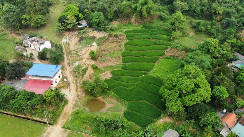 View đỉnh cao ruộng bậc thang tây bắc cách hn 40km 8 tỷ, 989m2 400m2 thổ cư,  0974 715 ***
