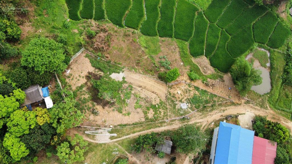 View đỉnh cao ruộng bậc thang tây bắc cách hn 40km 8 tỷ, 989m2 400m2 thổ cư,  0974 715 ***