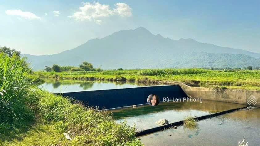 Siêu phẩm 468m2 thực tế 500m2 lô góc đẹp nhất yên bài view núi hàng hiếm giá êm