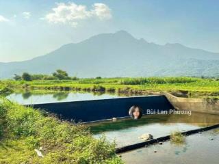 Siêu phẩm 468m thực tế 500m lô góc đẹp nhất yên bài view núi hàng hiếm giá êm.